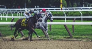 paardenraces wedden