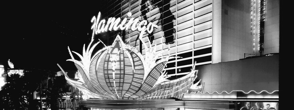flamingo casino las vegas