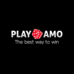 Обзор казино Playamo 2025