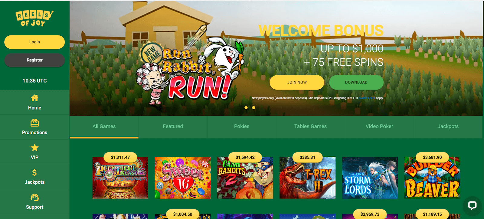 Reels of Joy Casino Interface