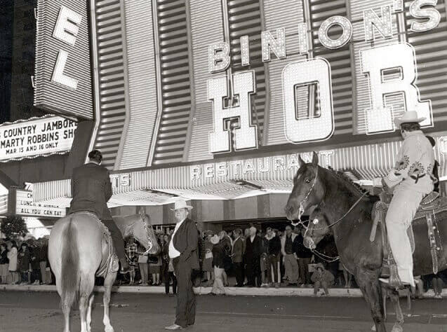 binion paarden schoen