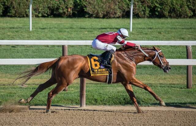 horse jockey fouten