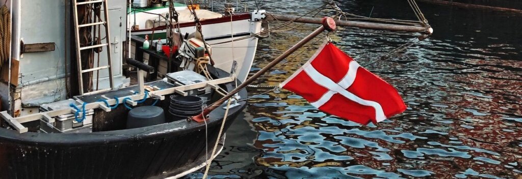 Deense vlag