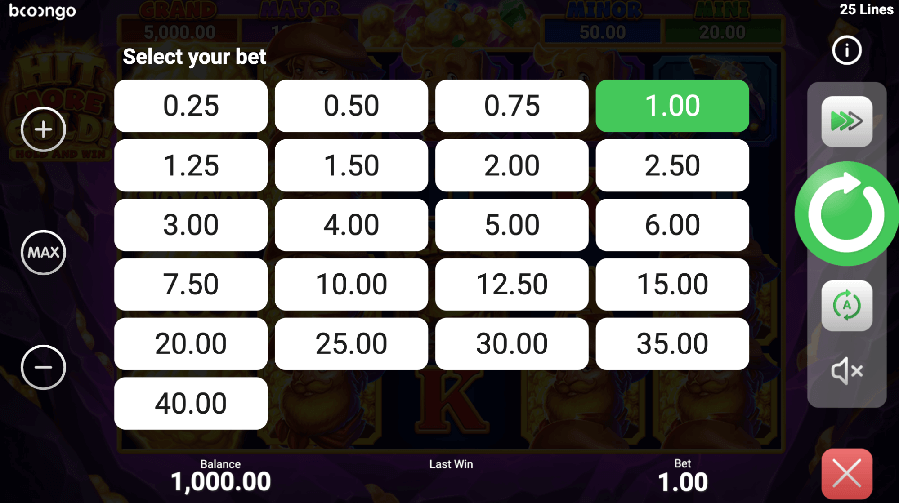 Adjust your bet with the intuitive interface in the Hit More Gold pokies.