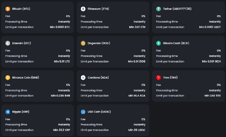 BitVegas casino's fee and processing time summary