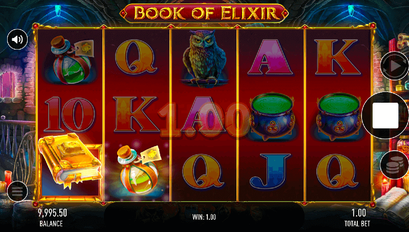 a pokie with a book and an elixir
