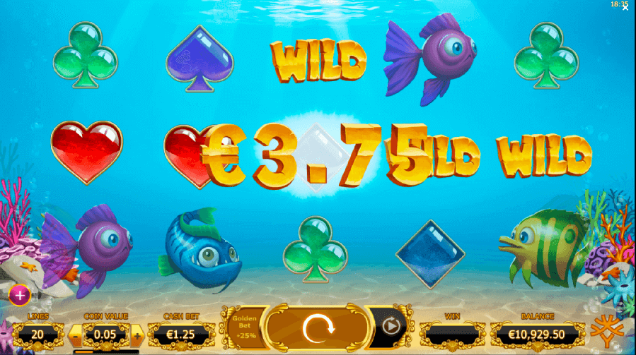 Fish-themed screens with thrilling wins in Golden Fish Tank slots