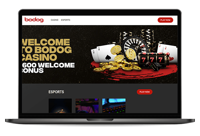 Casino Mockup bodog