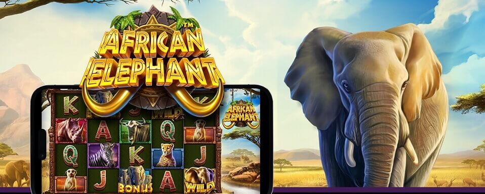 Afrikaanse olifanten gokkast promotie door Pragmatic Play