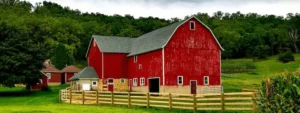 farm-mockup