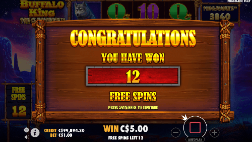 Capture 12 free spins on the Canadian Buffalo King Megaways Slot