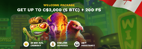 BGaming ensures thrills with an RTP of 95.42%, a hit rate of 7.96%, and high volatility in Mechanical Clover. While wins may not come frequently, they can be sizable when they do.