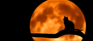 Grasping the Concept of Online Casino Bonus Misuse 2025