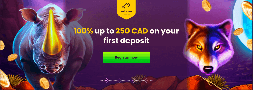 Discover the attractive bonuses at Bizzo Casino for Canadians.
