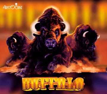 <b>Bonuses and Offers. </b>While they don't directly affect the game, bonuses can greatly enrich your casino journey. Look for enticing welcome offers, VIP programs, and pokie-specific bonuses like free spins and cashbacks.