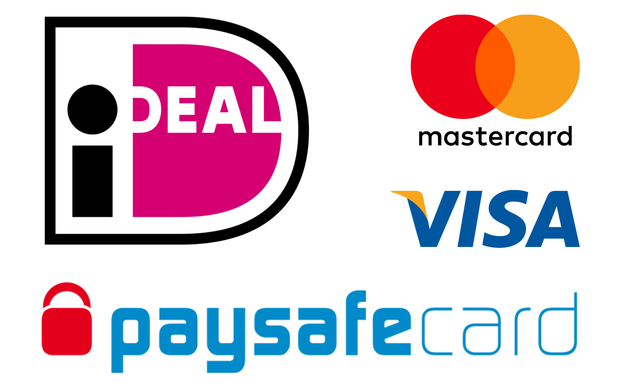 Betaalopties in Nederlandse online casino's