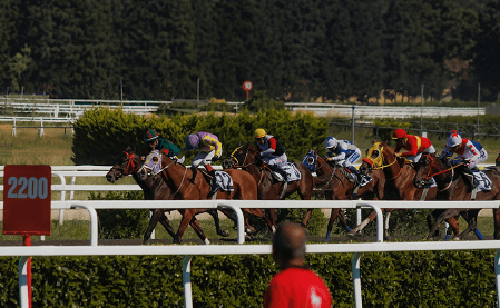 horse racing