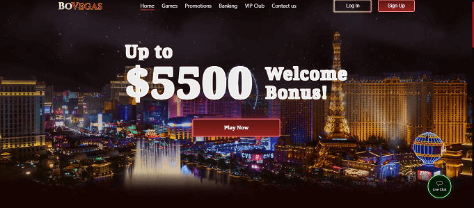 bovegas homepage