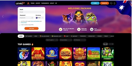 levelup homepage