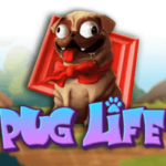 Pug Life