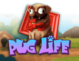 Pug-Leven-logo