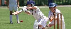 cricket image mockup img
