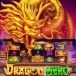 Are you a Dragon Hero?