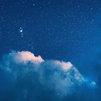 {38}