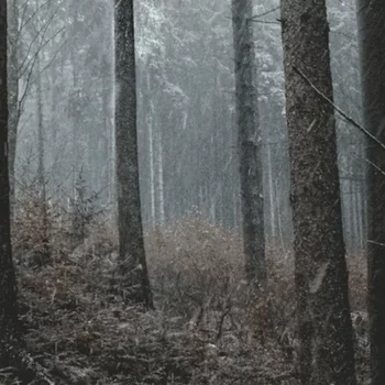 {165}