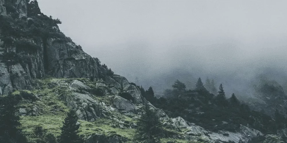 {2}