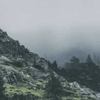 {117}