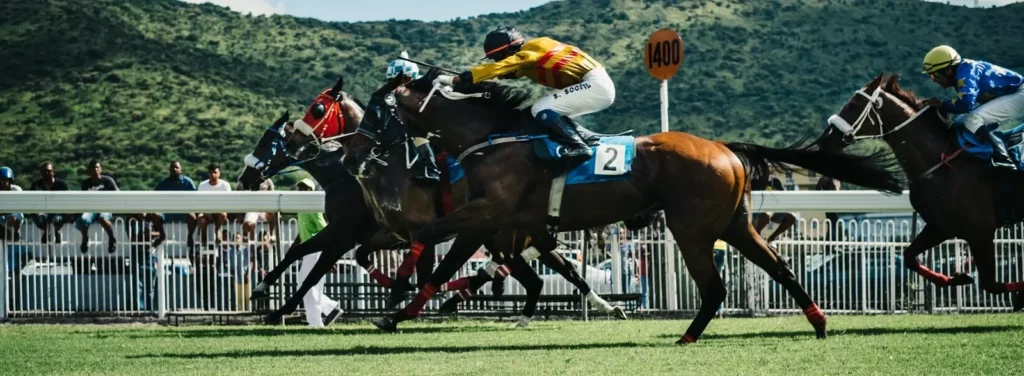 Horse racing sportsbook