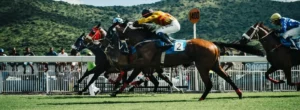 Horse racing sportsbook