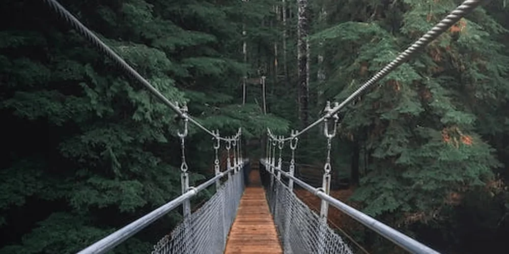 {2}
