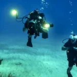 OneTouch Ventures Back to the Sea with Sea Treasure Deep Dive