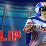 Play´n Go releases USA FLIP Slot