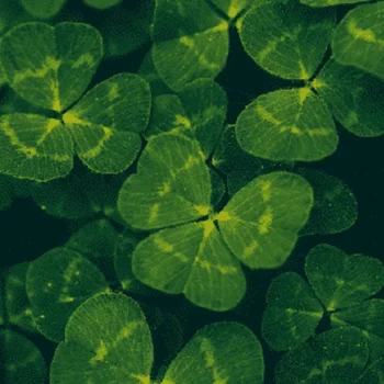 {167}