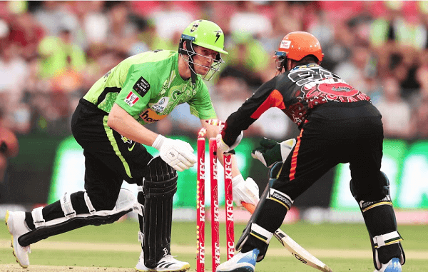 Cricket Betting