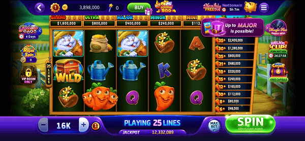 Gameplay at Doubleu Casino