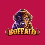 Buffalo Slot Machine Review 2025