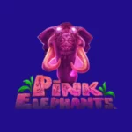 Pink Elephants Slot Review 2025