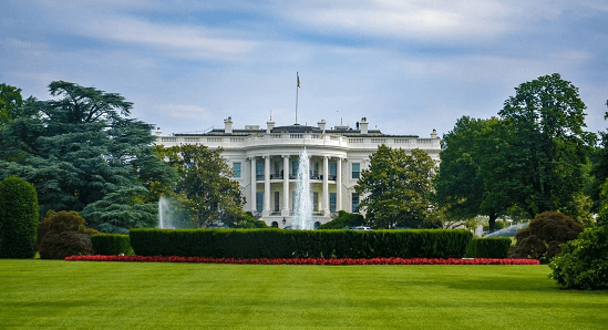 The white house