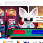<b>Free spins bonus</b>